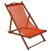 Chilienne hetre teinte - C
